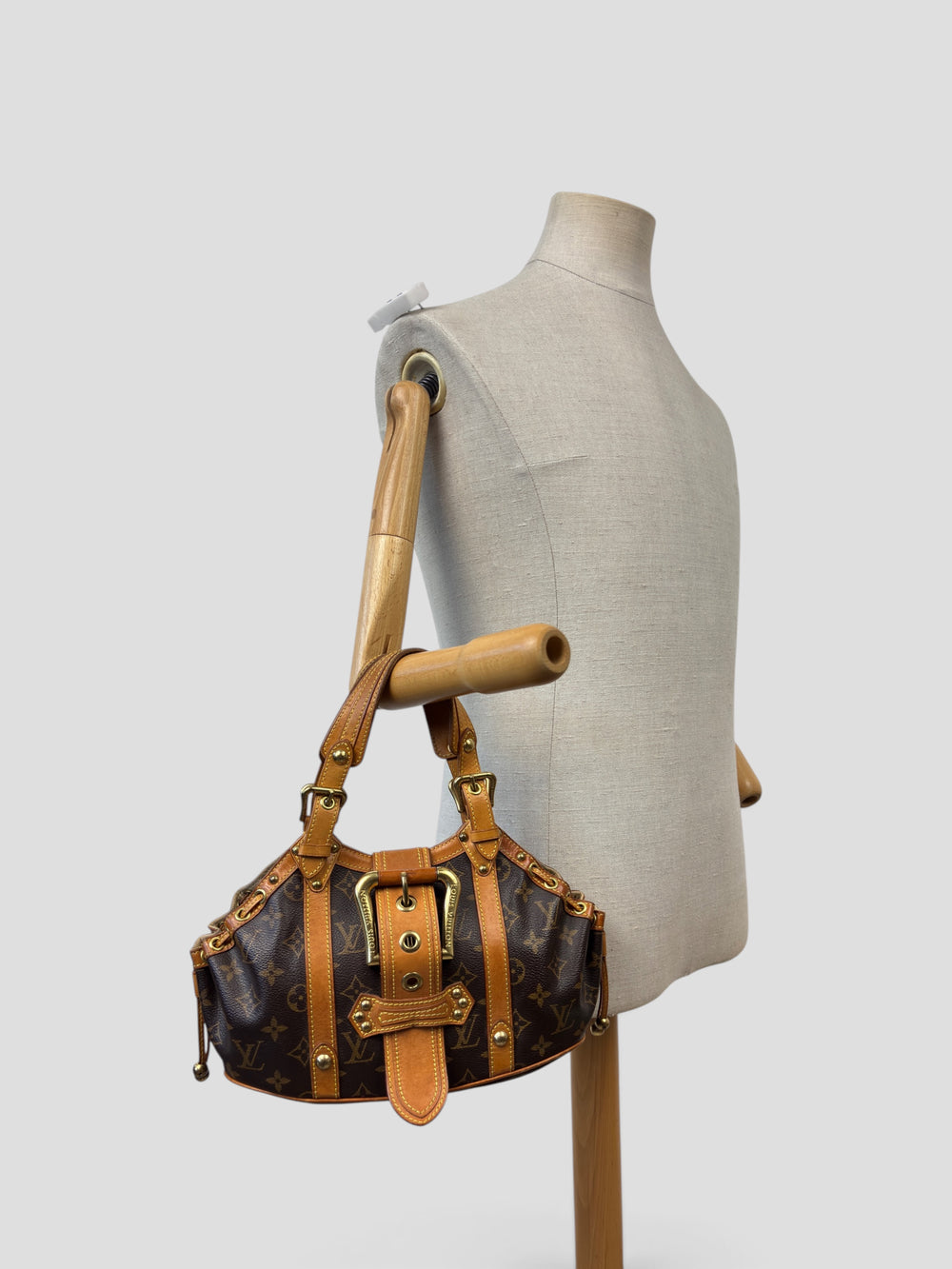 Louis Vuitton Theda PM Monogram