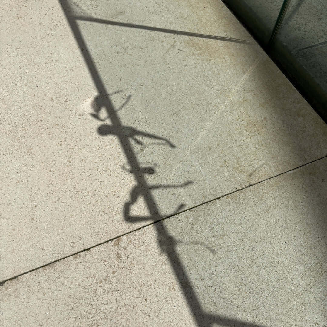 shadow of vintage designer sunglasses