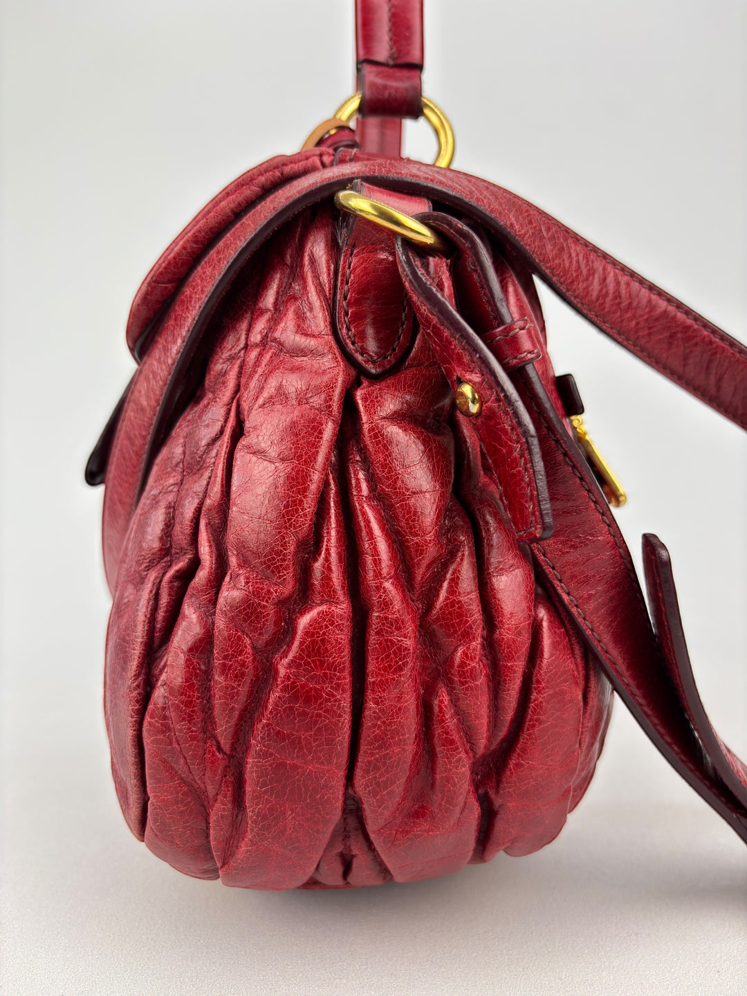Miu Miu Vitello
