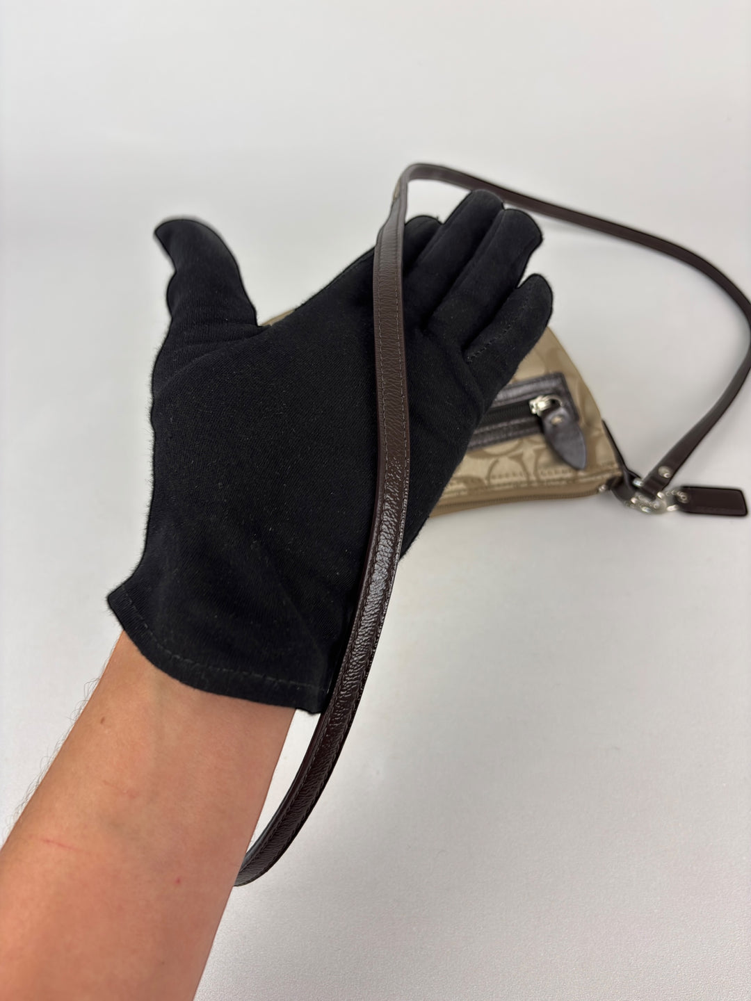 Coach Signature Crossbody Pouch (Mini-Hobo mit Schulterriemen)